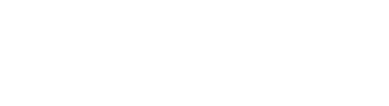 The Hockey Store logo